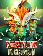 Fortune Dragon